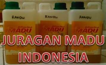 Jual Madu Murni